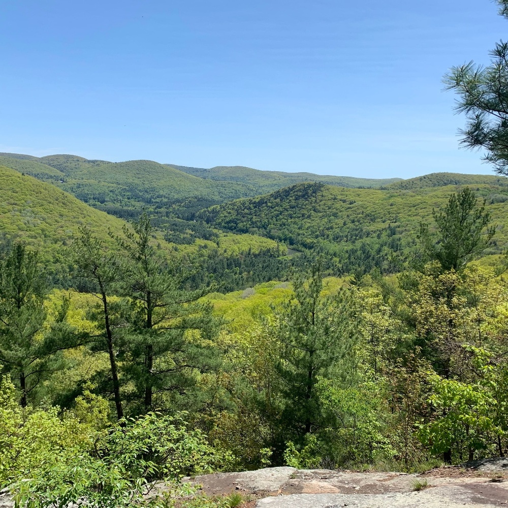 Meet your Posher, Carla